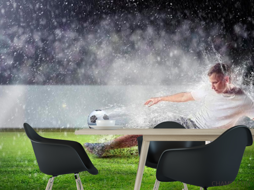 Фотошпалери Гра під дощем - 1