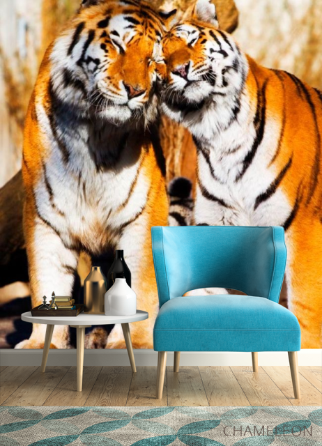 Фотообои Любовь тигров - 4