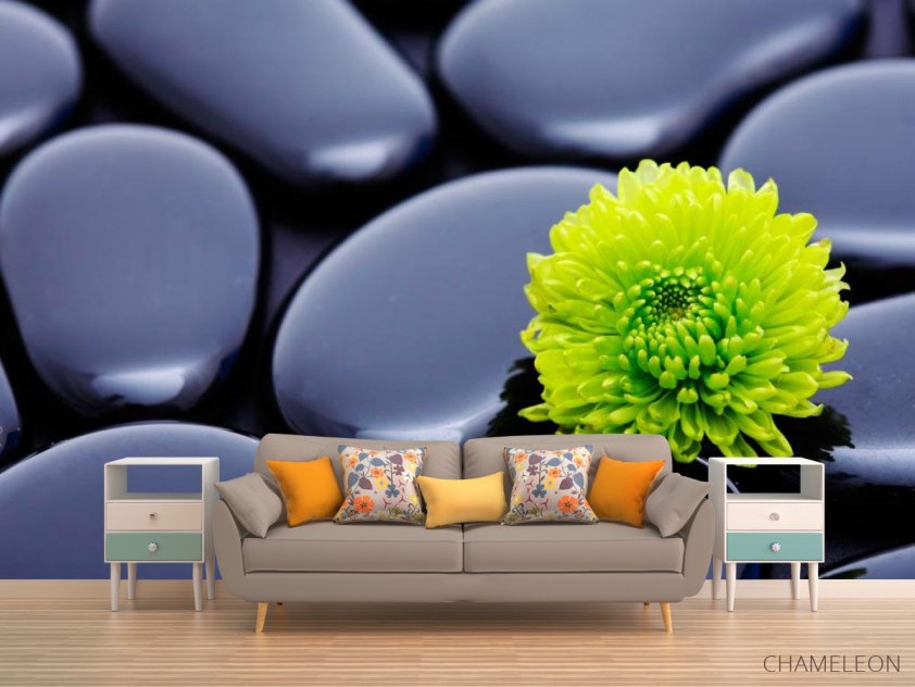 Фотообои Цветок и камни - 1