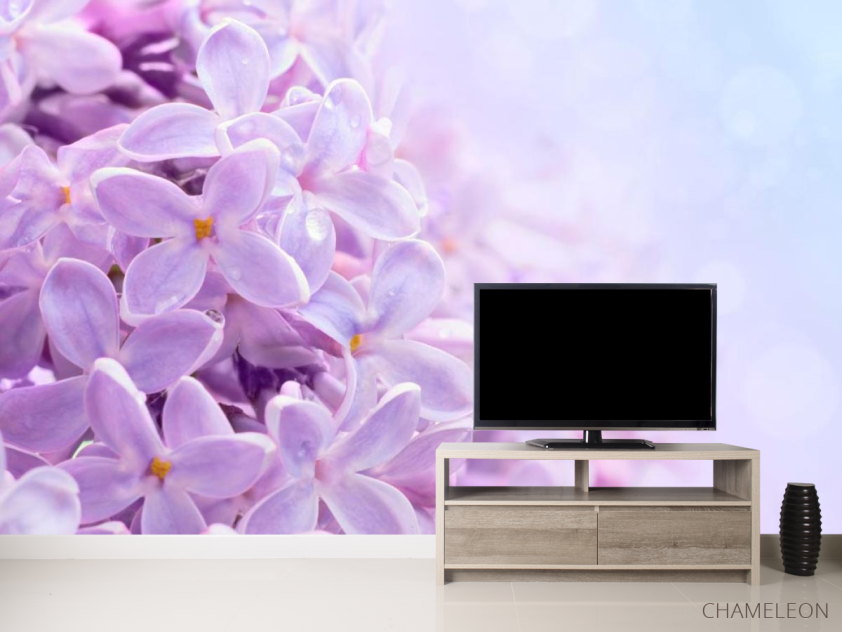 Фотообои Цветы сирени - 2