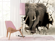 Фотошпалери Слон - 4
