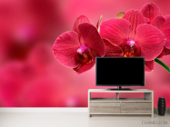 Фотообои Красные орхидеи - 2