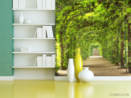 Фотошпалери зелена арка - 3