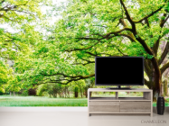 Фотообои Много веток, дерево - 2