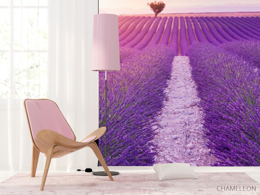 Фотошпалери лавандове поле - 4