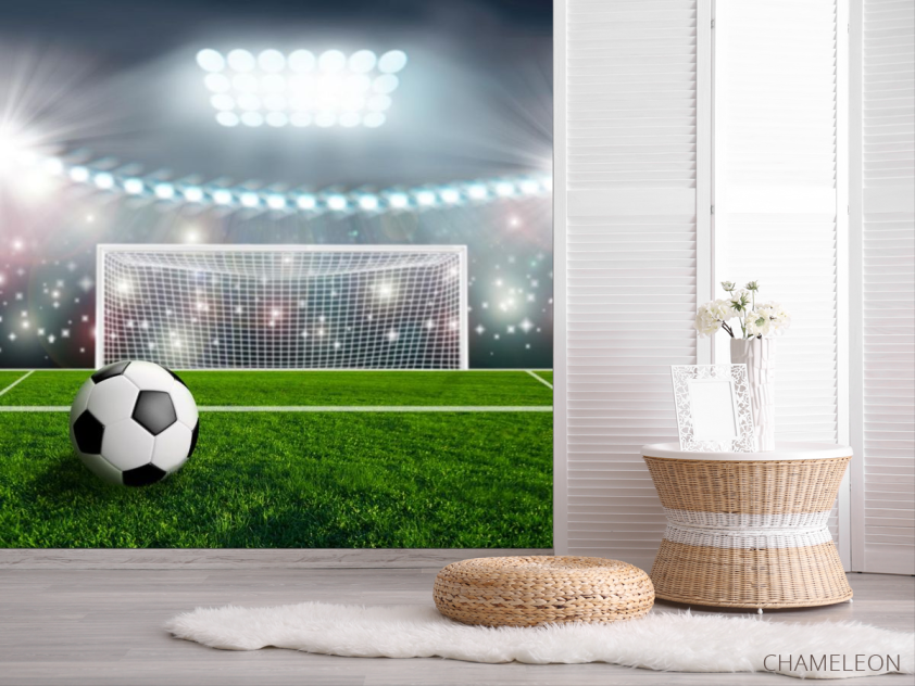 Фотошпалери м'яч і ворота - 2