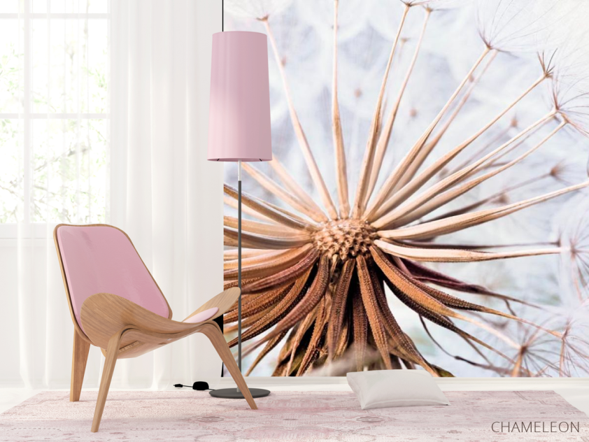 Фотошпалери Одуванчик - 4