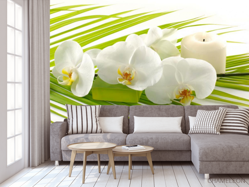 Фотообои Белая орхидея - 3