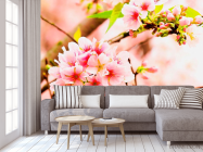 Фотообои Соцветия розовых цветов - 3