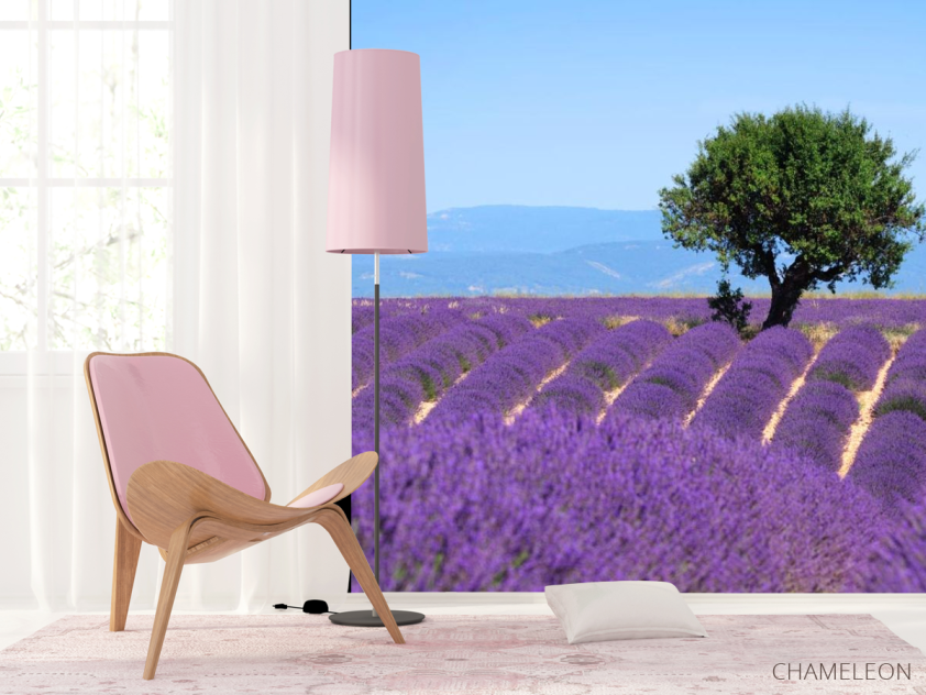 Фотошпалери бузкове полі - 4