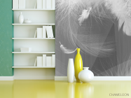 Фотошпалери ч / б пір'я - 3