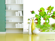 Фотошпалери Зелені орхідеї - 3