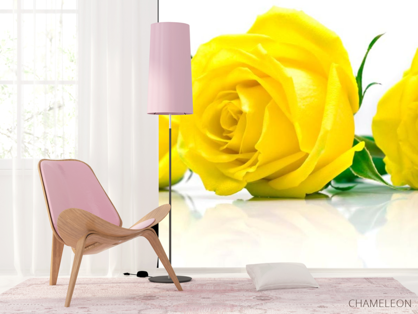 Фотошпалери Троянди жовті - 4