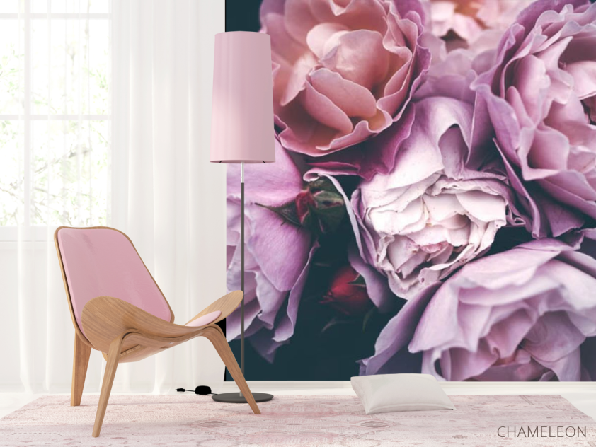 Фотошпалери Рожеві троянди - 4
