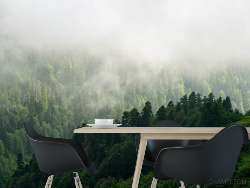 Фотошпалери Вид на туманий ліс - 1