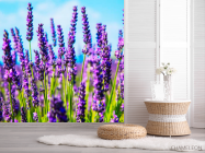 Фотошпалери Квіти - 2