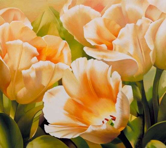 Фотообои Цветы Фотообои Цветы 20181