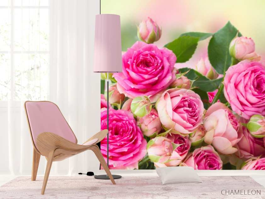 Фотошпалери чайна троянда - 4