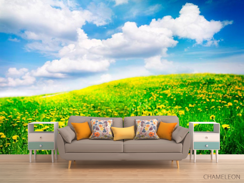 Фотообои Тучи, небо, луг - 1