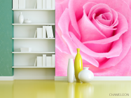 Фотошпалери Макро-зйомка рожевої троянди - 3