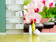 Фотошпалери Орхідеї біло-малинові - 3