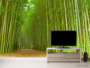 Фотообои Много бамбука - 2