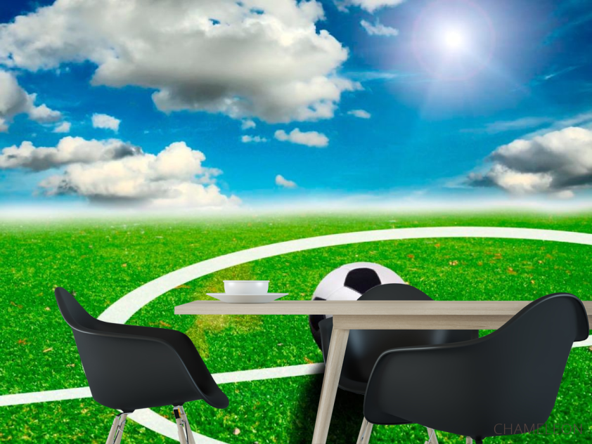 Фотообои Мяч на поле - 1