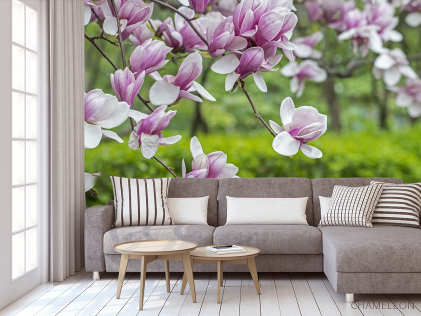 Фотообои нежная магнолия - 3