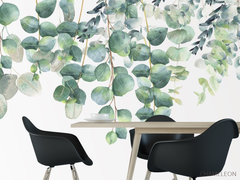 Фотошпалери Евкаліптові листя - 1