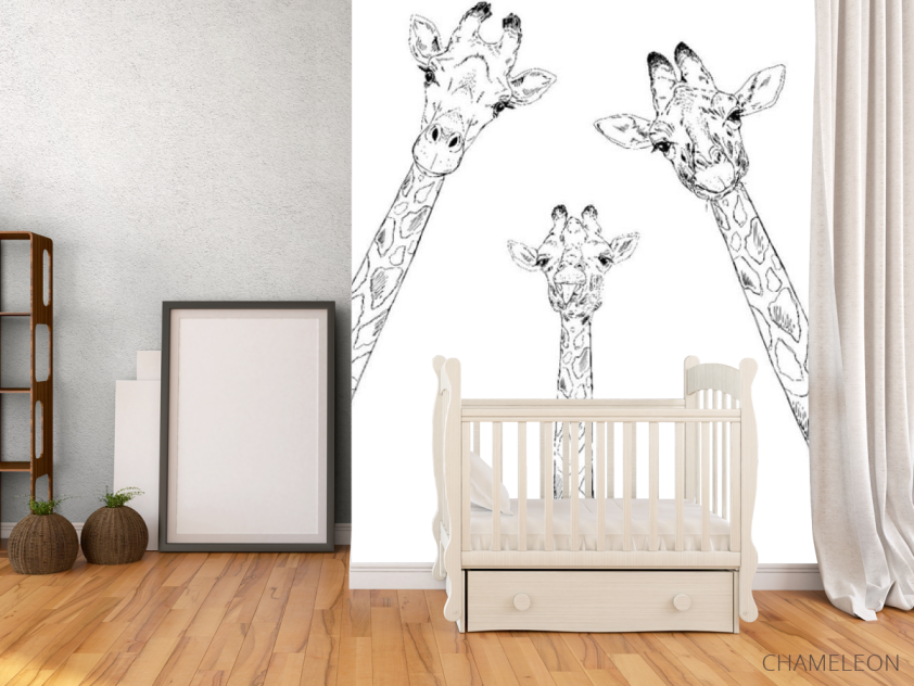 Фотообои Семья жирафов - 2