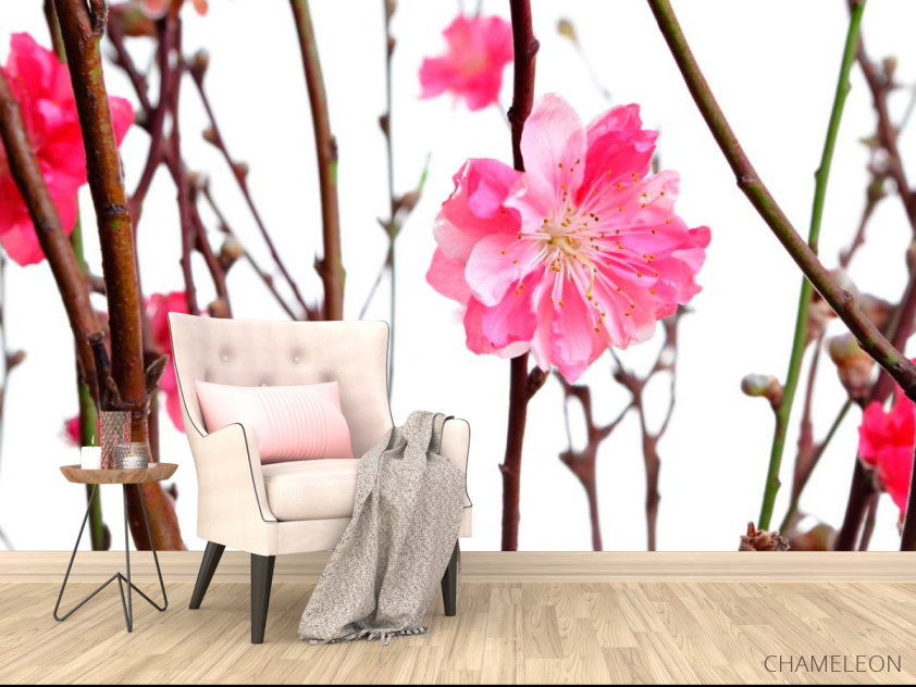 Фотообои Розовый цветок - 4