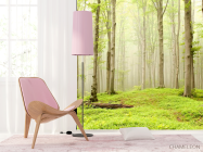 Фотошпалери Голі дерева - 4