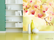 Фотообои Орхидея кремовая - 3