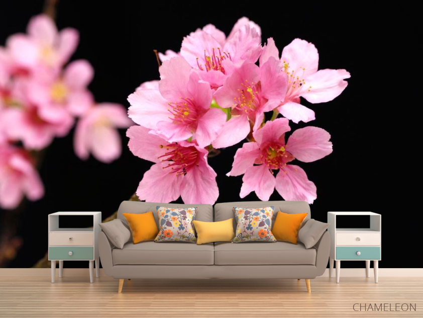 Фотообои Розовые персиковые цветы - 1