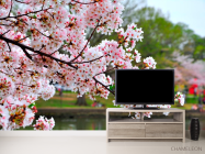 Фотообои Цветущий вишневый сад - 2