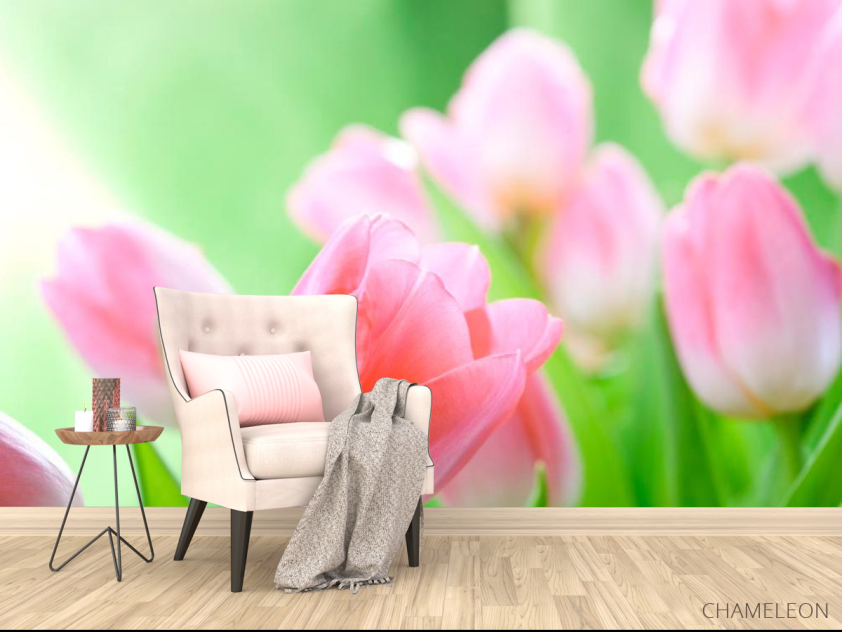 Фотообои Нежно-розовые тюльпаны - 4