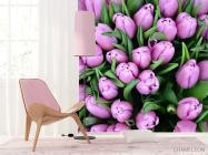 Фотошпалери Букет фіолетових тюльпанів - 4