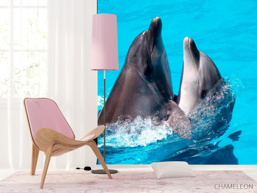 Фотошпалери Два дельфіна - 4