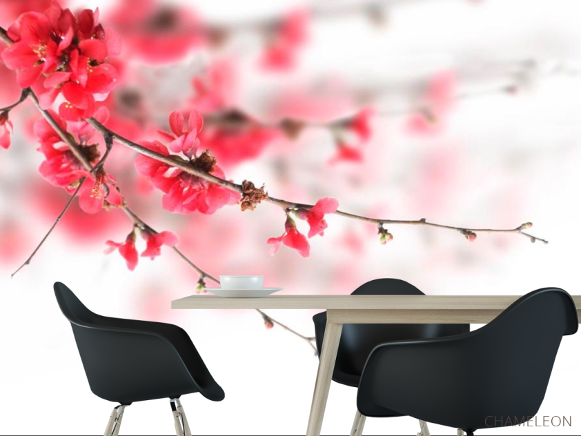 Фотошпалери Червоне квітуче дерево - 1