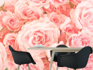 Фотошпалери Троянди ніжно-рожеві - 1