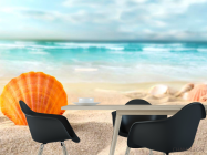 Фотошпалери Черепашка в піску - 1