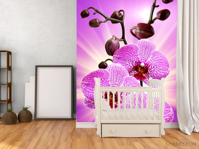 Фотообои леопардовая орхидея с сиянием - 2
