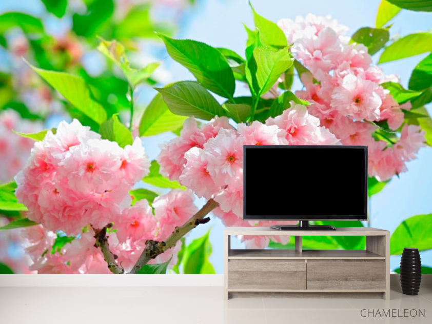 Фотообои Соцветие чайной розы - 2