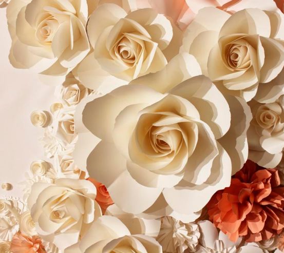Фотообои 3D  бумажные розы 15435