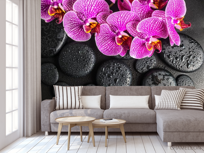 Фотообои сиреневые орхидеи на черных камнях с каплями - 3