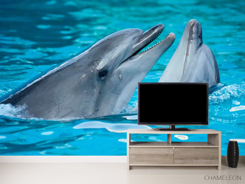 Фотообои Нежность дельфинов - 2