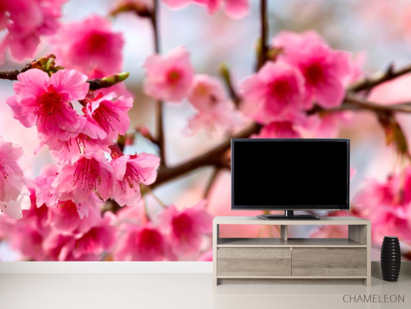 Фотообои Дерево с розовыми ветами - 2