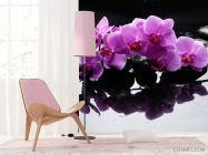 Фотошпалери Гілка орхідеї на каменях - 4