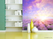 Фотошпалери Схід у провансі - 3