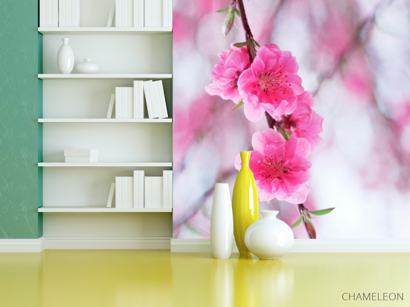 Фотошпалери Квітуча навесні рожевим дерево - 3